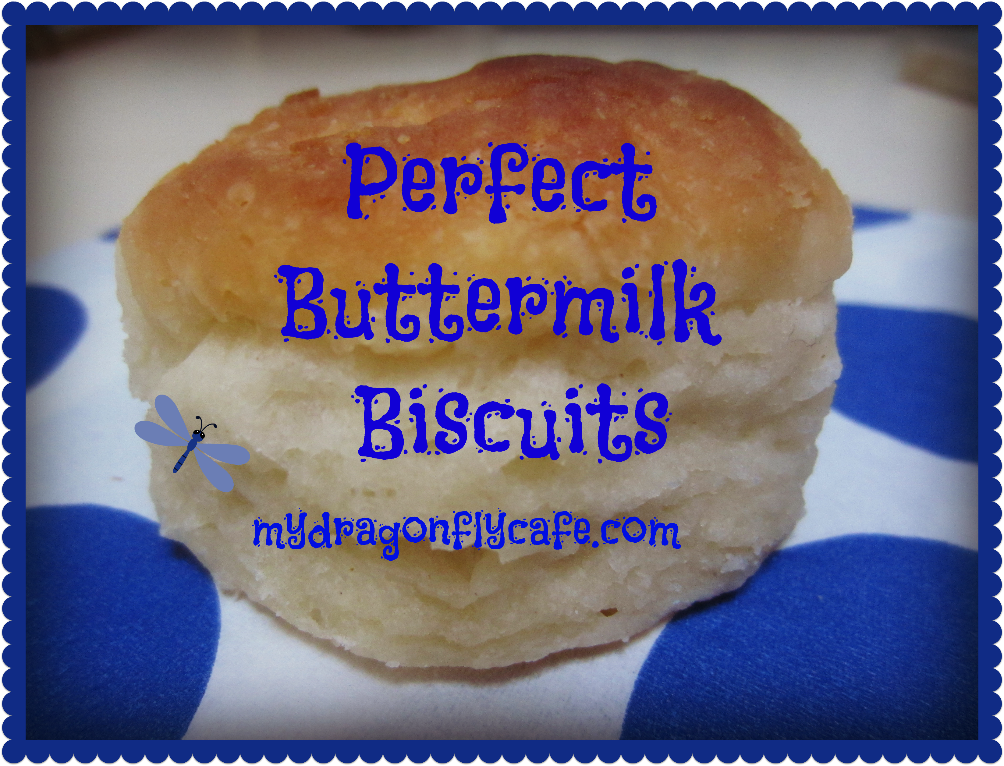 Cafe Buttermilk  My self to rising  My Favorite flour using make buttermilk biscuits Dragonfly  how Biscuit